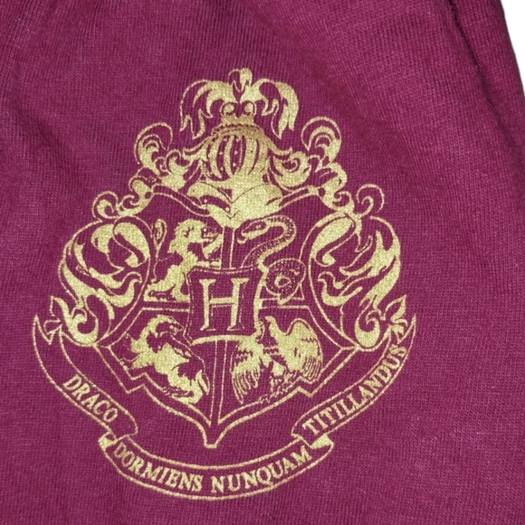 Hogwarts Style Sweats/ Lounge pants. - Picture 2 of 4